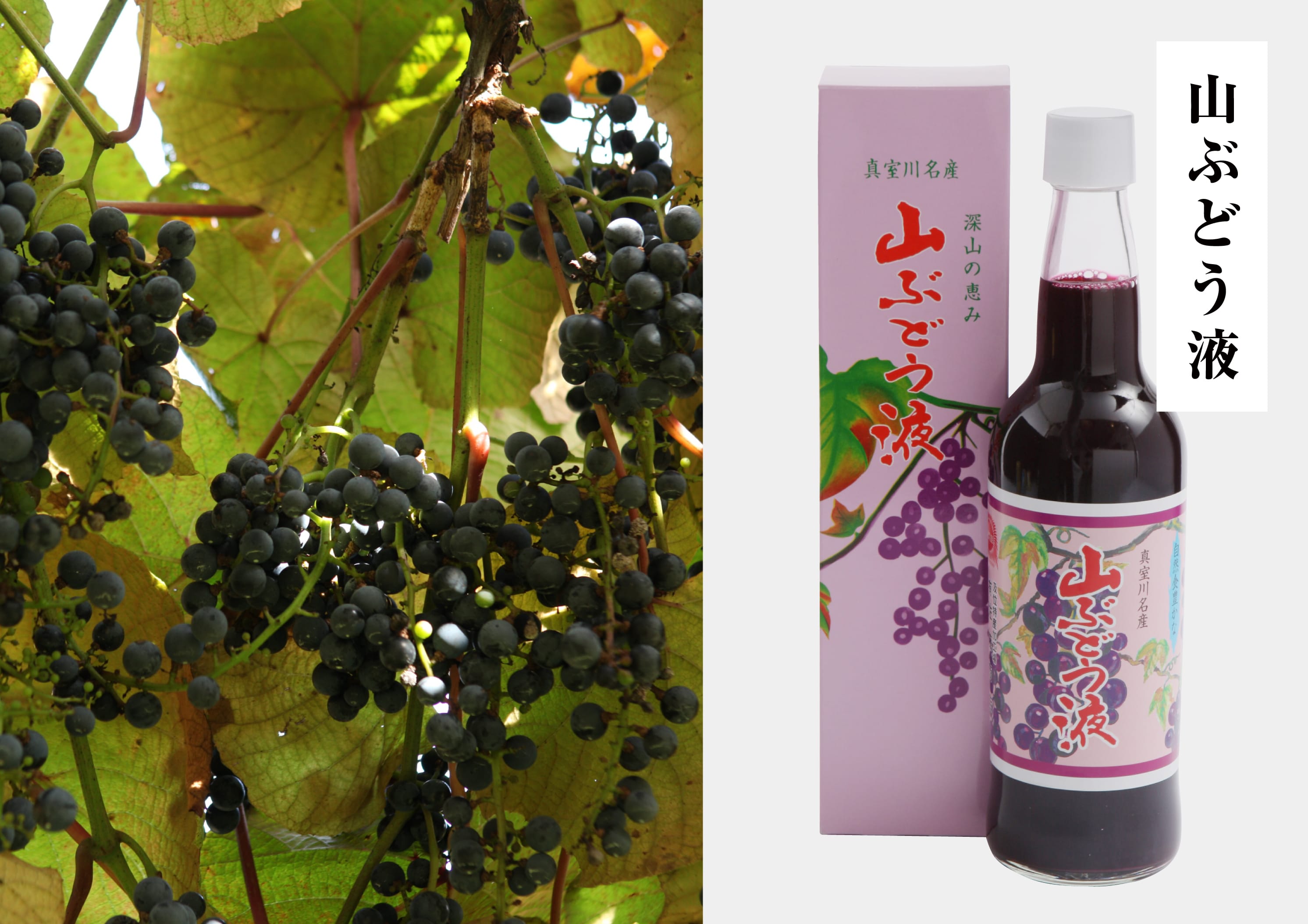 山ぶどう液